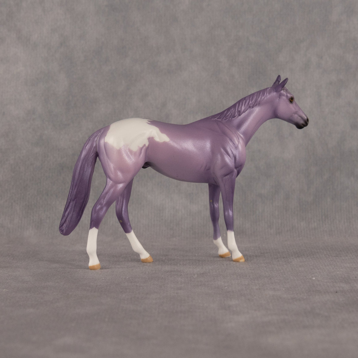 Macaron OOAK Chip Thoroughbred by Dawn Quick LHS26