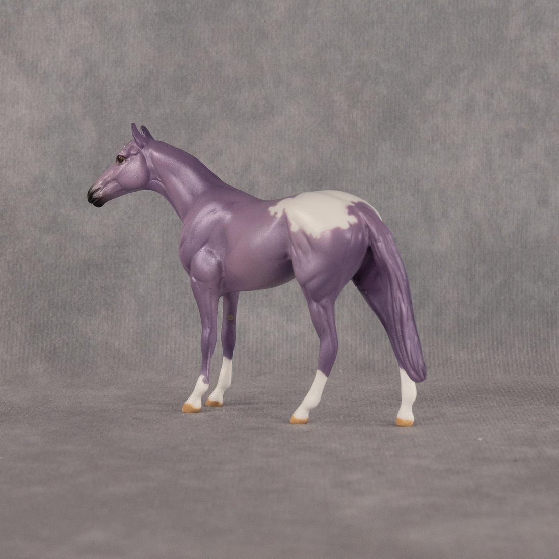 Macaron OOAK Chip Thoroughbred by Dawn Quick LHS26