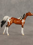 Mago OOAK Chip Arabian by Dawn Quick SHCF26