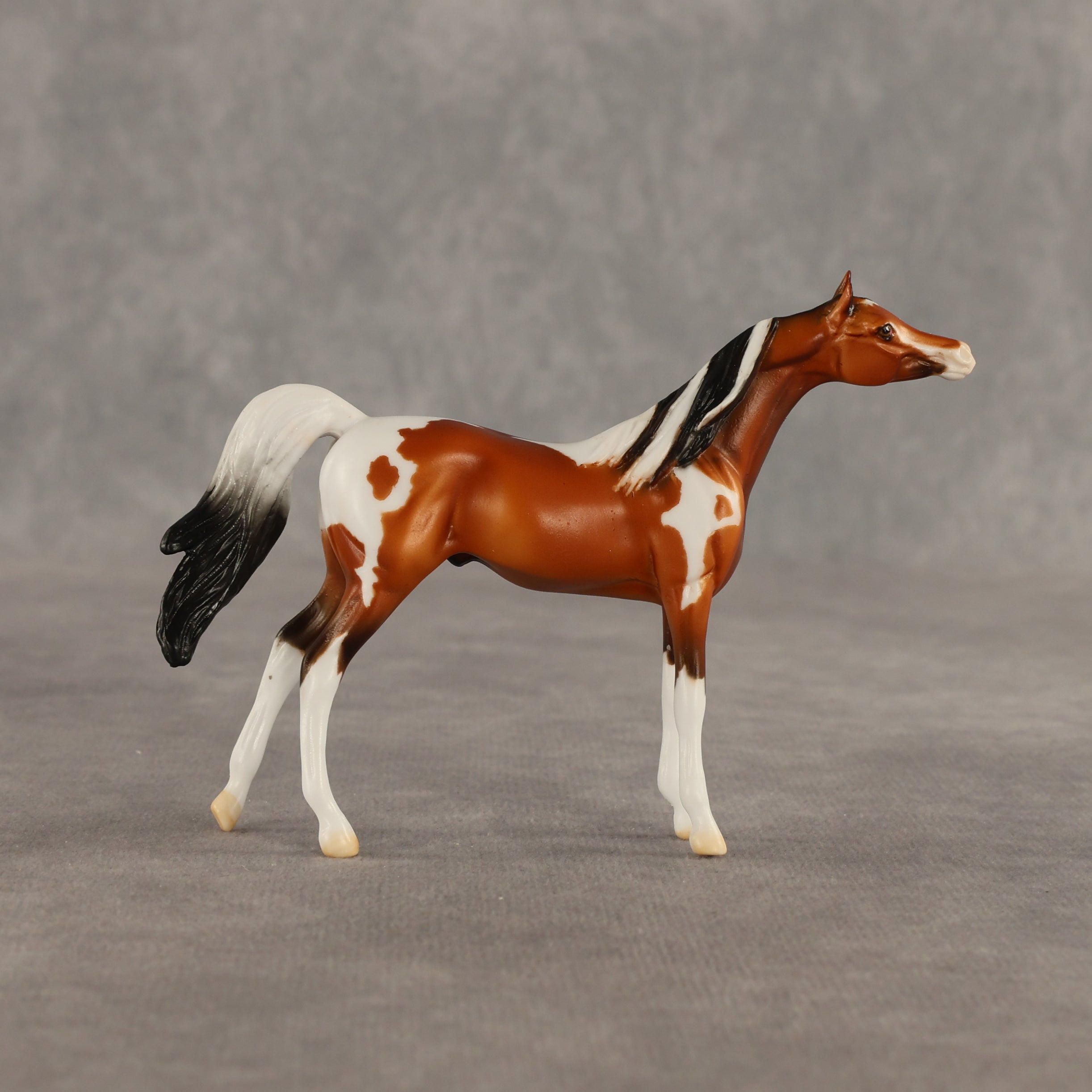 Mago OOAK Chip Arabian by Dawn Quick SHCF26