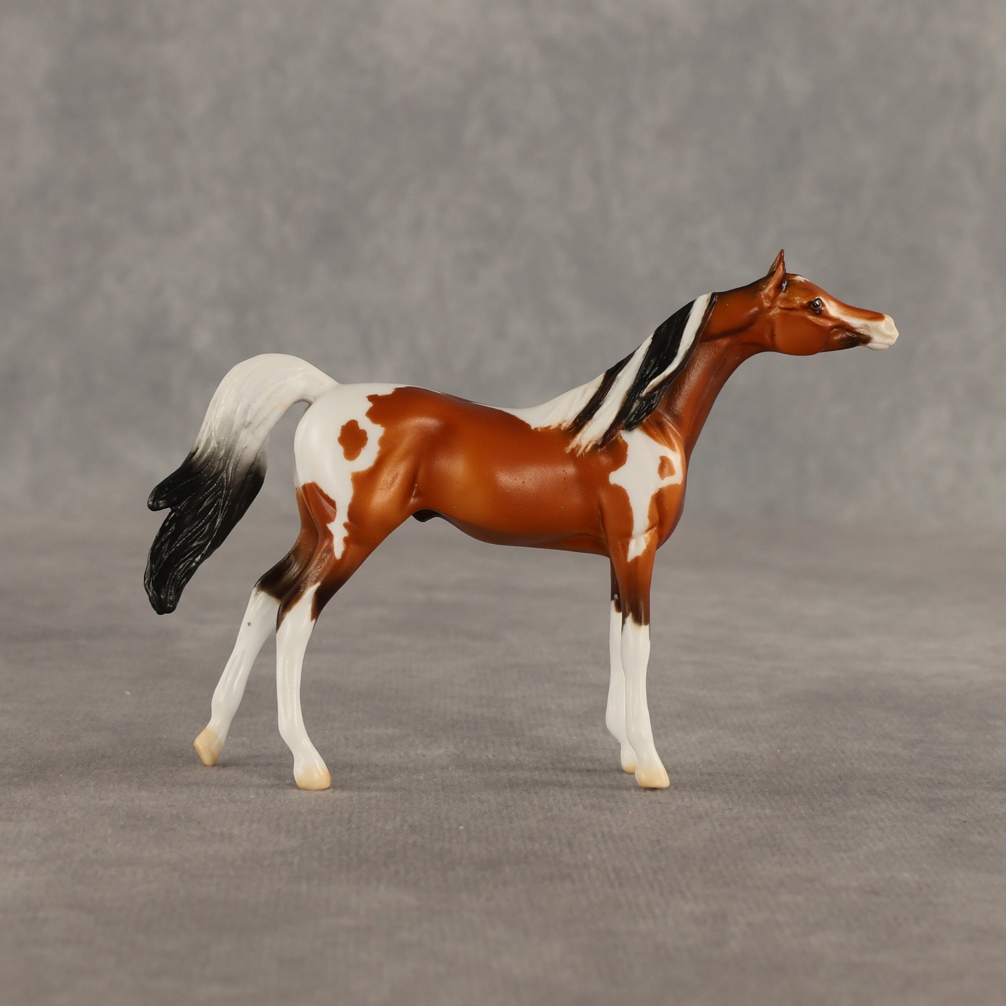 Mago OOAK Chip Arabian by Dawn Quick SHCF26