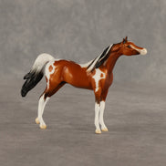 Mago OOAK Chip Arabian by Dawn Quick SHCF26