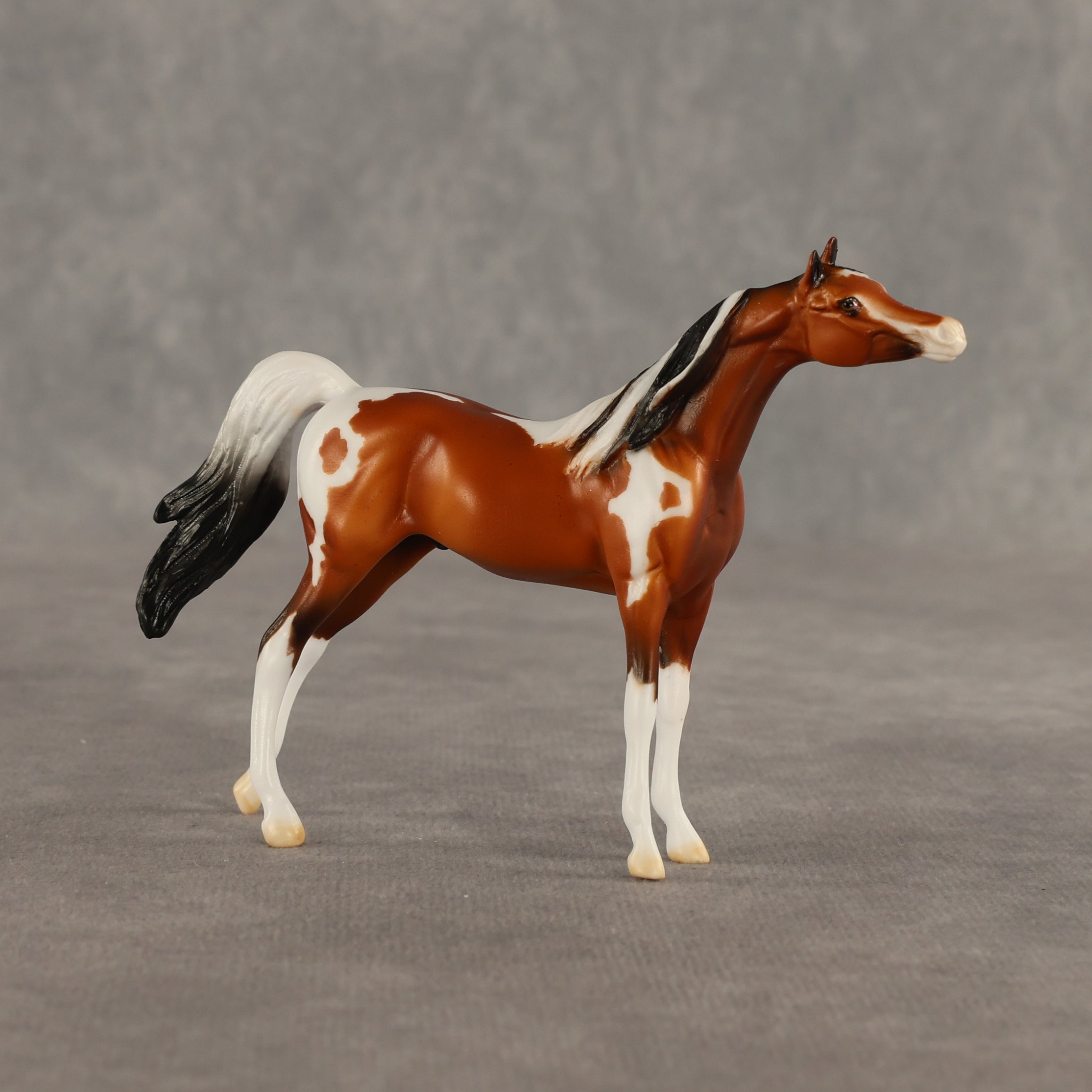 Mago OOAK Chip Arabian by Dawn Quick SHCF26