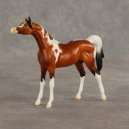 Mago OOAK Chip Arabian by Dawn Quick SHCF26