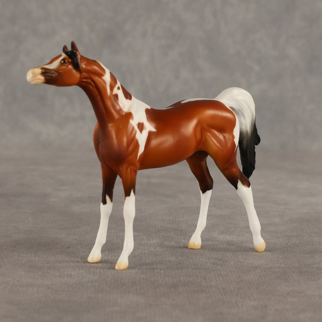 Mago OOAK Chip Arabian by Dawn Quick SHCF26