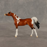 Mago OOAK Chip Arabian by Dawn Quick SHCF26