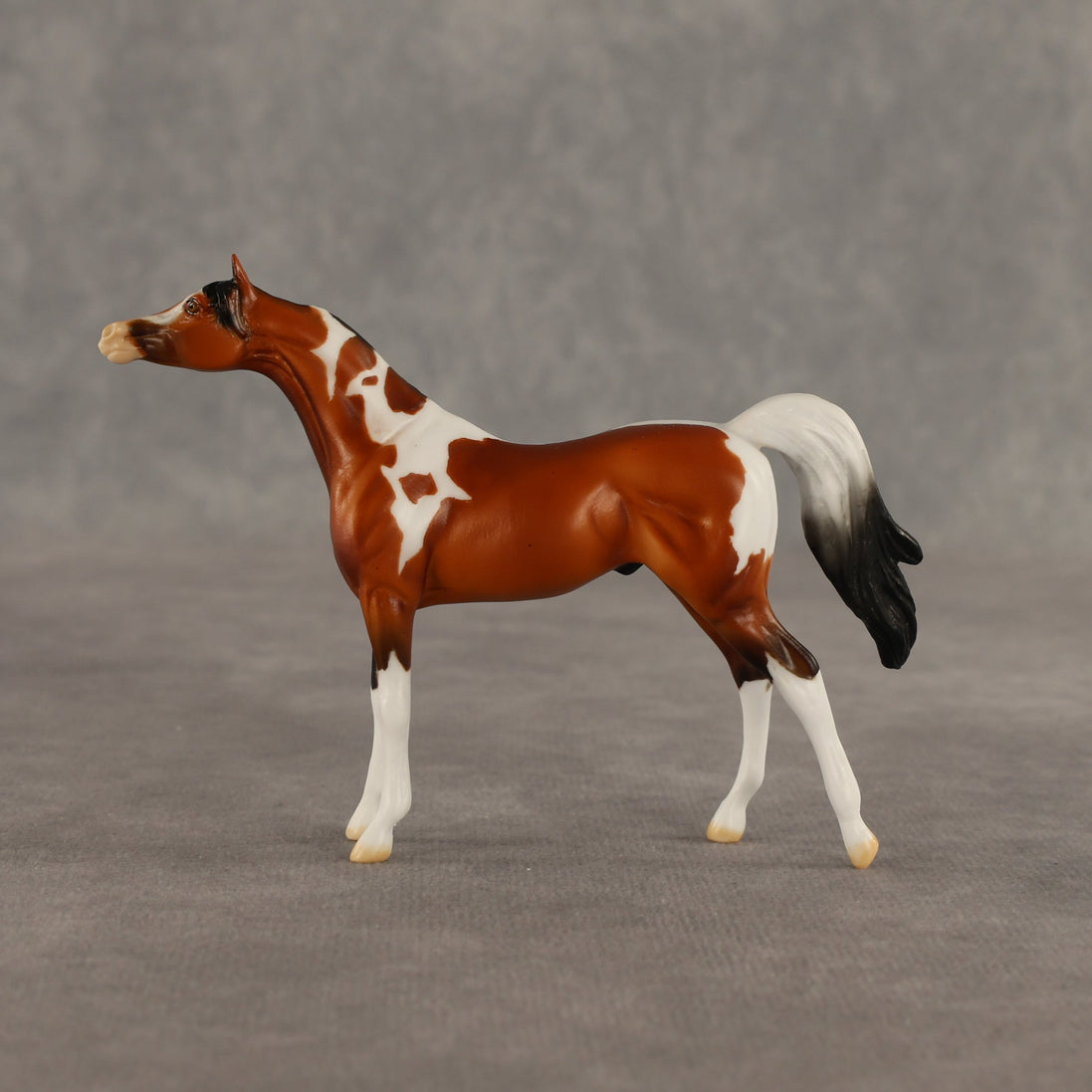 Mago OOAK Chip Arabian by Dawn Quick SHCF26