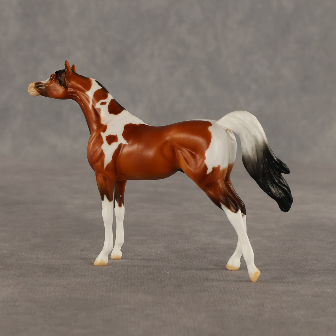 Mago OOAK Chip Arabian by Dawn Quick SHCF26