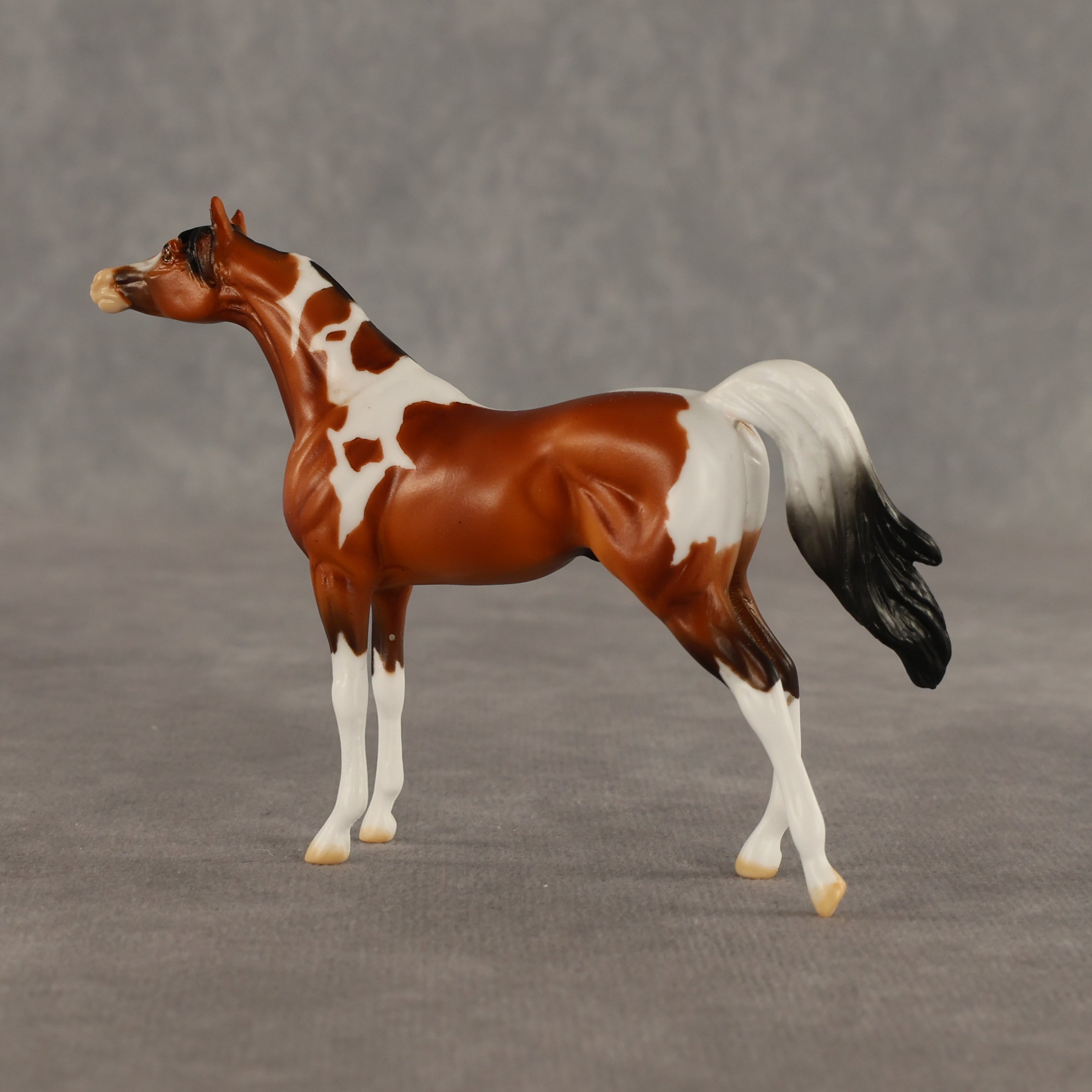 Mago OOAK Chip Arabian by Dawn Quick SHCF26