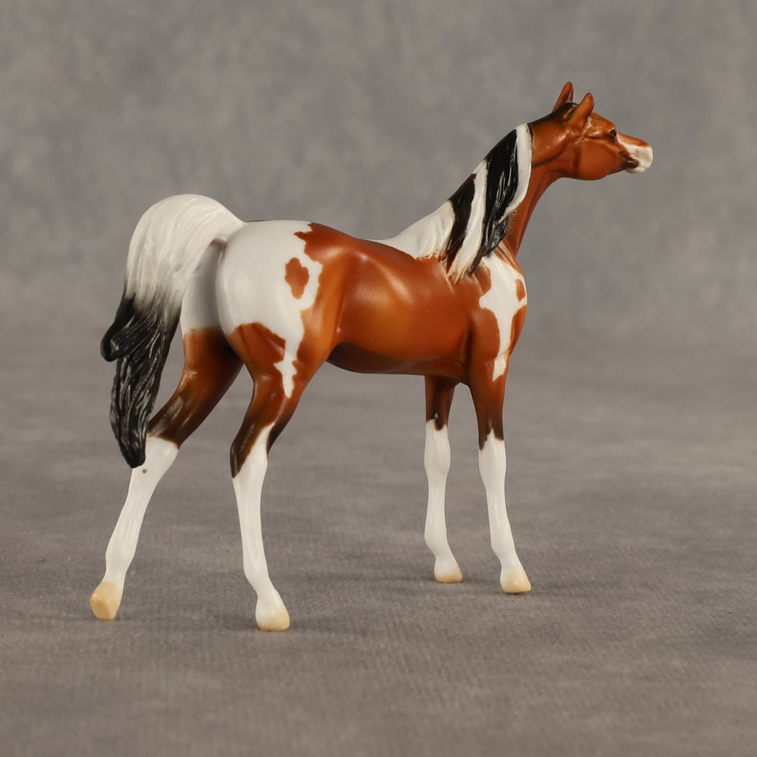 Mago OOAK Chip Arabian by Dawn Quick SHCF26