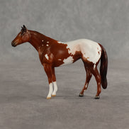 Maple & Leif OOAK Chip FCM Stock Horse & Chip Foal by Anna Rieck SCD26