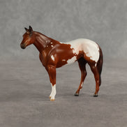 Maple & Leif OOAK Chip FCM Stock Horse & Chip Foal by Anna Rieck SCD26