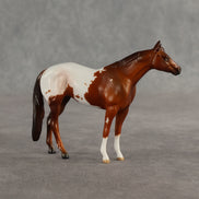 Maple & Leif OOAK Chip FCM Stock Horse & Chip Foal by Anna Rieck SCD26
