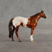 Maple & Leif OOAK Chip FCM Stock Horse & Chip Foal by Anna Rieck SCD26