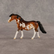 Marigold OOAK Chip Pony by Dawn Quick SHCF26