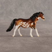 Marigold OOAK Chip Pony by Dawn Quick SHCF26