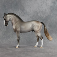 Marlowe OOAK FCM Andalusian by Jess Hamill SHCF26