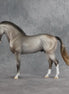 Marlowe OOAK FCM Andalusian by Jess Hamill SHCF26