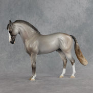 Marlowe OOAK FCM Andalusian by Jess Hamill SHCF26