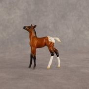 Mary OOAK Chip Foal by Madi Wiseman EQ26
