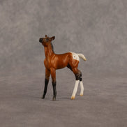 Mary OOAK Chip Foal by Madi Wiseman EQ26