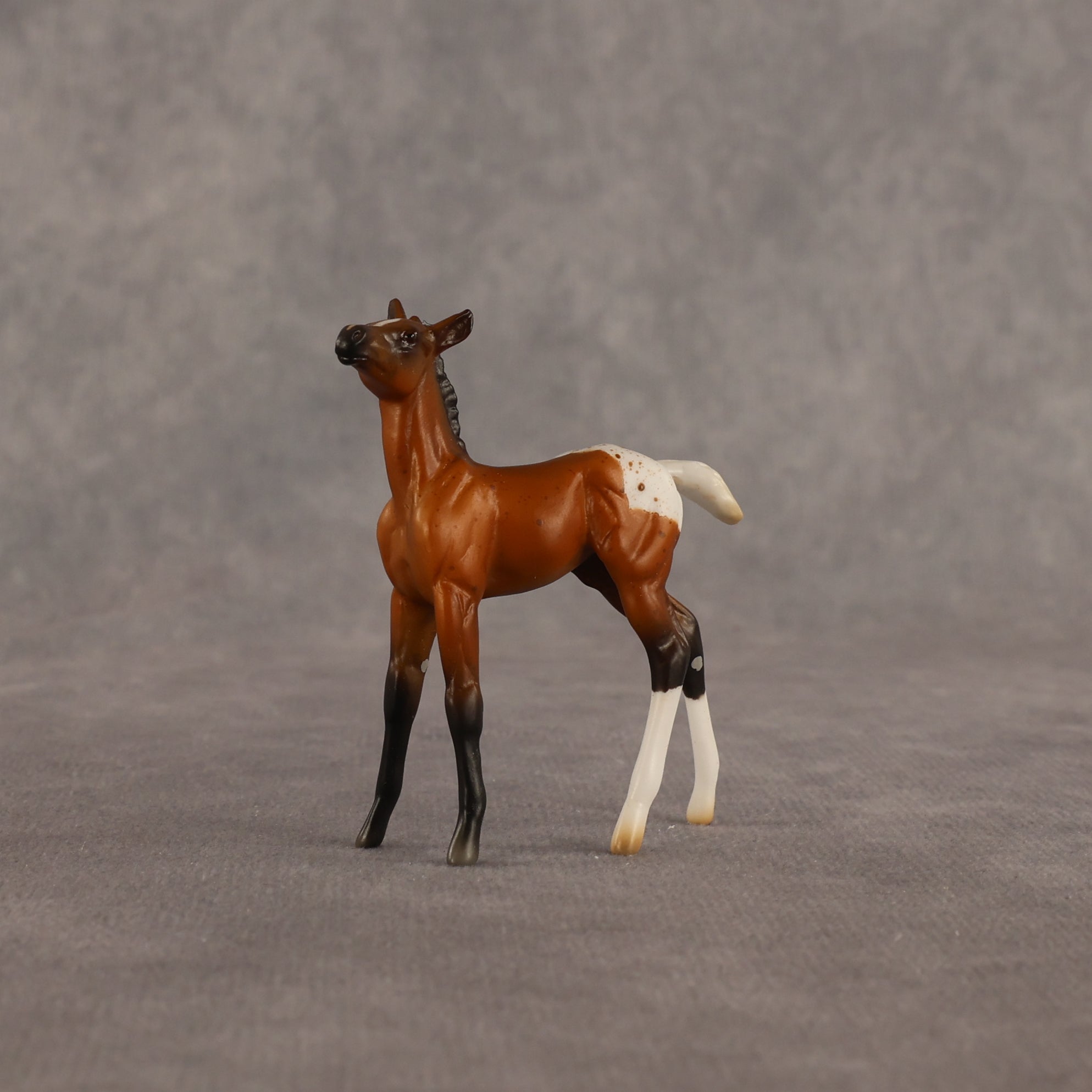 Mary OOAK Chip Foal by Madi Wiseman EQ26
