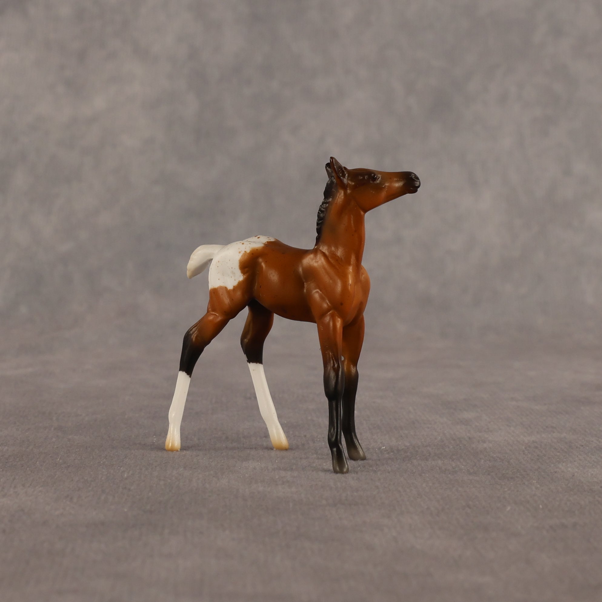 Mary OOAK Chip Foal by Madi Wiseman EQ26