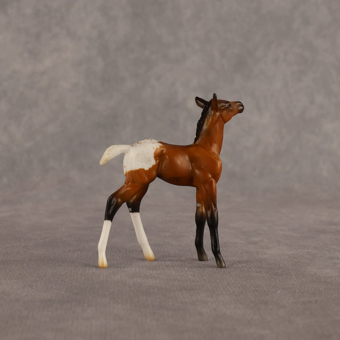 Mary OOAK Chip Foal by Madi Wiseman EQ26