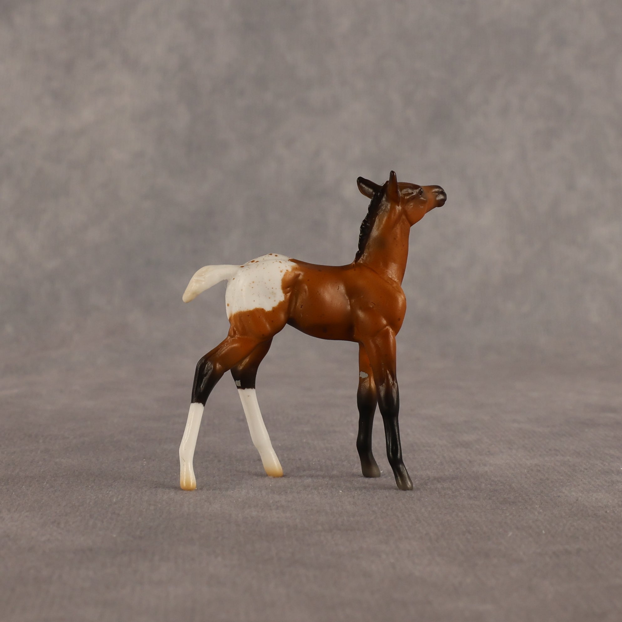 Mary OOAK Chip Foal by Madi Wiseman EQ26