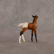 Mary OOAK Chip Foal by Madi Wiseman EQ26