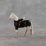 Sahel FCM LE-2 Chip Andalusian by Angela Marleau & Matt Samuels FTF26