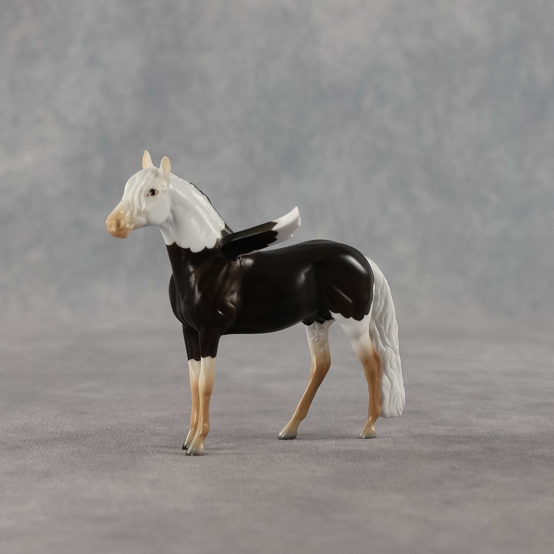 Sahel FCM LE-2 Chip Andalusian by Angela Marleau & Matt Samuels FTF26