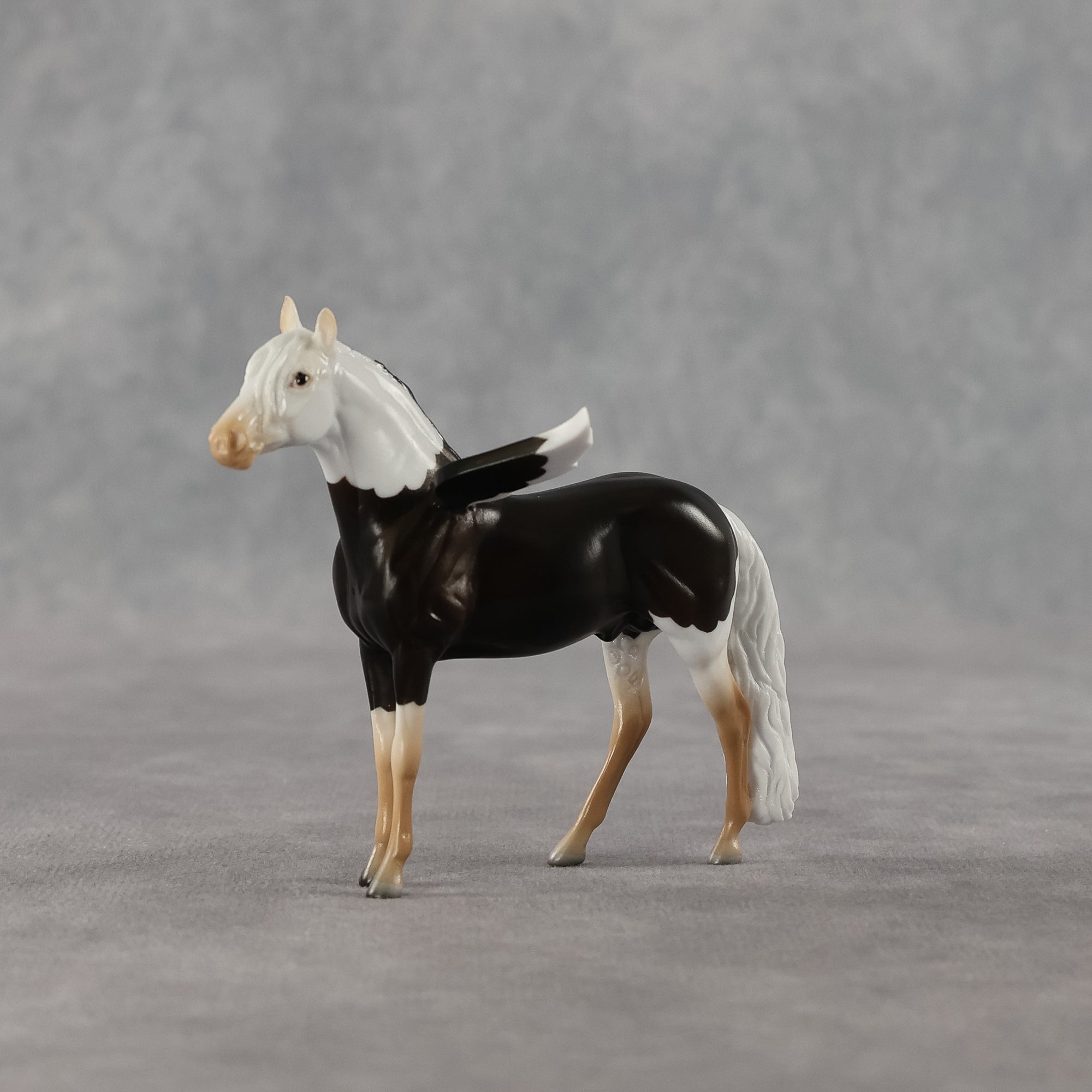 Sahel FCM LE-2 Chip Andalusian by Angela Marleau &amp; Matt Samuels FTF26