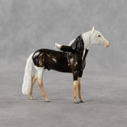 Sahel FCM LE-2 Chip Andalusian by Angela Marleau & Matt Samuels FTF26