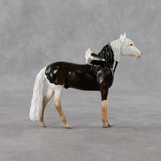 Sahel FCM LE-2 Chip Andalusian by Angela Marleau & Matt Samuels FTF26