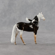 Sahel FCM LE-2 Chip Andalusian by Angela Marleau & Matt Samuels FTF26