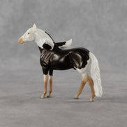 Sahel FCM LE-2 Chip Andalusian by Angela Marleau & Matt Samuels FTF26