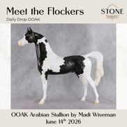 Meet The Flockers OOAK Arabian Stallion by Madi Wiseman DDOOAKs26