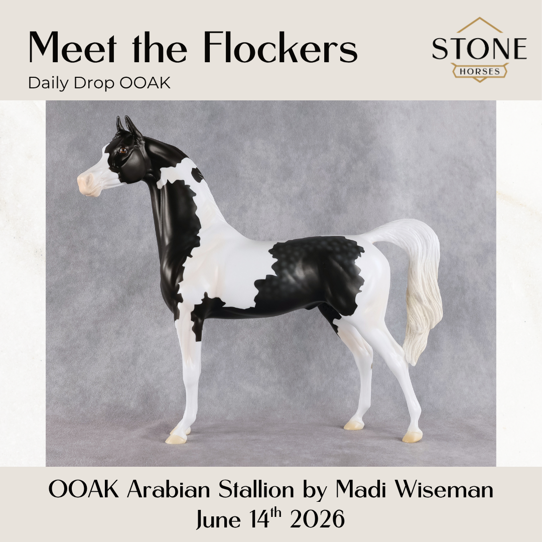 Meet The Flockers OOAK Arabian Stallion by Madi Wiseman DDOOAKs26