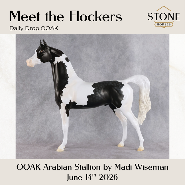 Meet The Flockers OOAK Arabian Stallion by Madi Wiseman DDOOAKs26