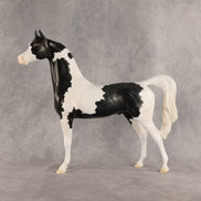 Meet The Flockers OOAK Arabian Stallion by Madi Wiseman DDOOAKs26
