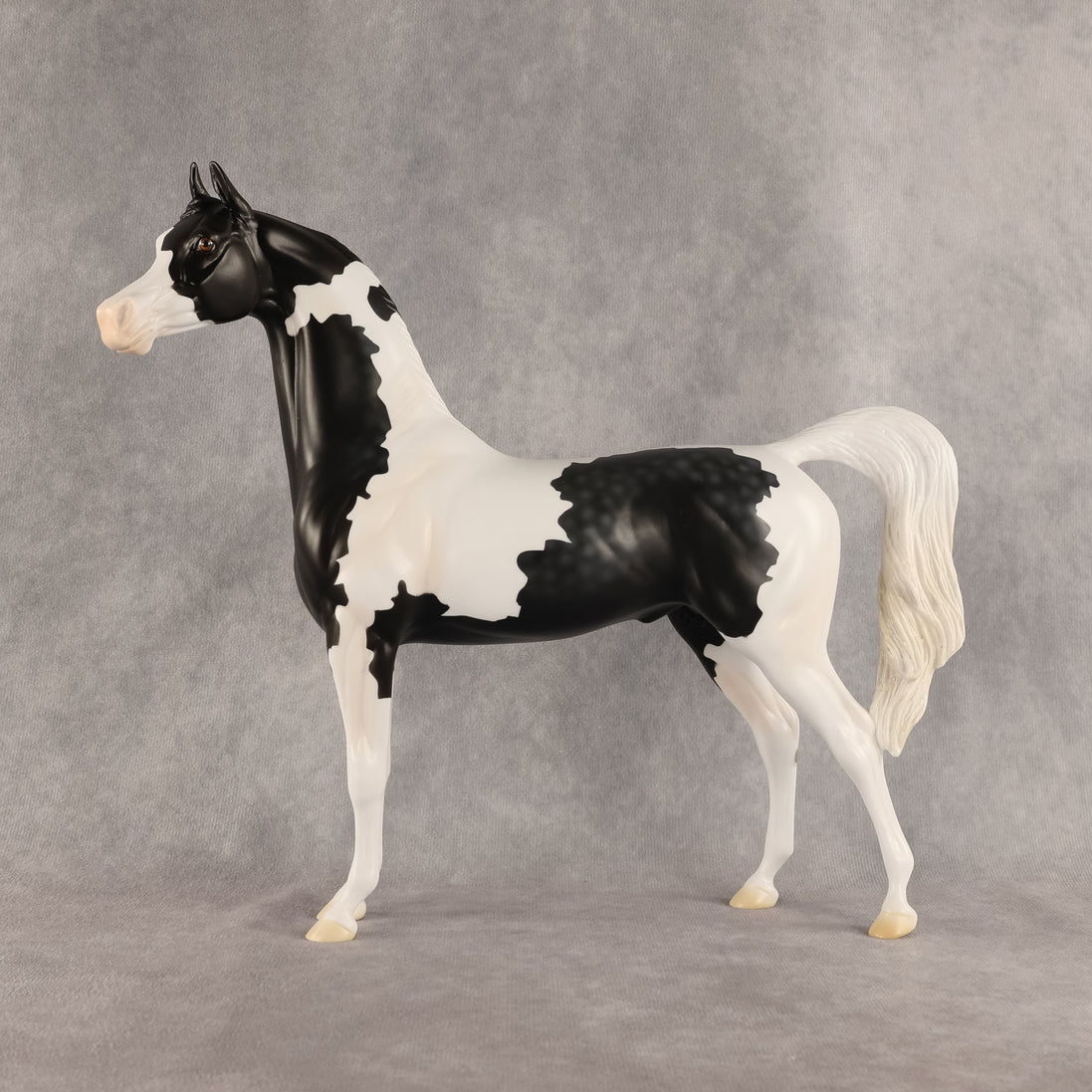 Meet The Flockers OOAK Arabian Stallion by Madi Wiseman DDOOAKs26