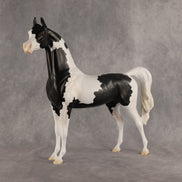 Meet The Flockers OOAK Arabian Stallion by Madi Wiseman DDOOAKs26