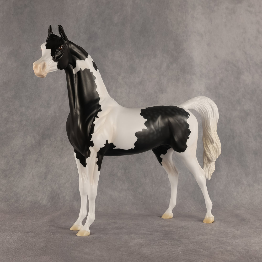 Meet The Flockers OOAK Arabian Stallion by Madi Wiseman DDOOAKs26