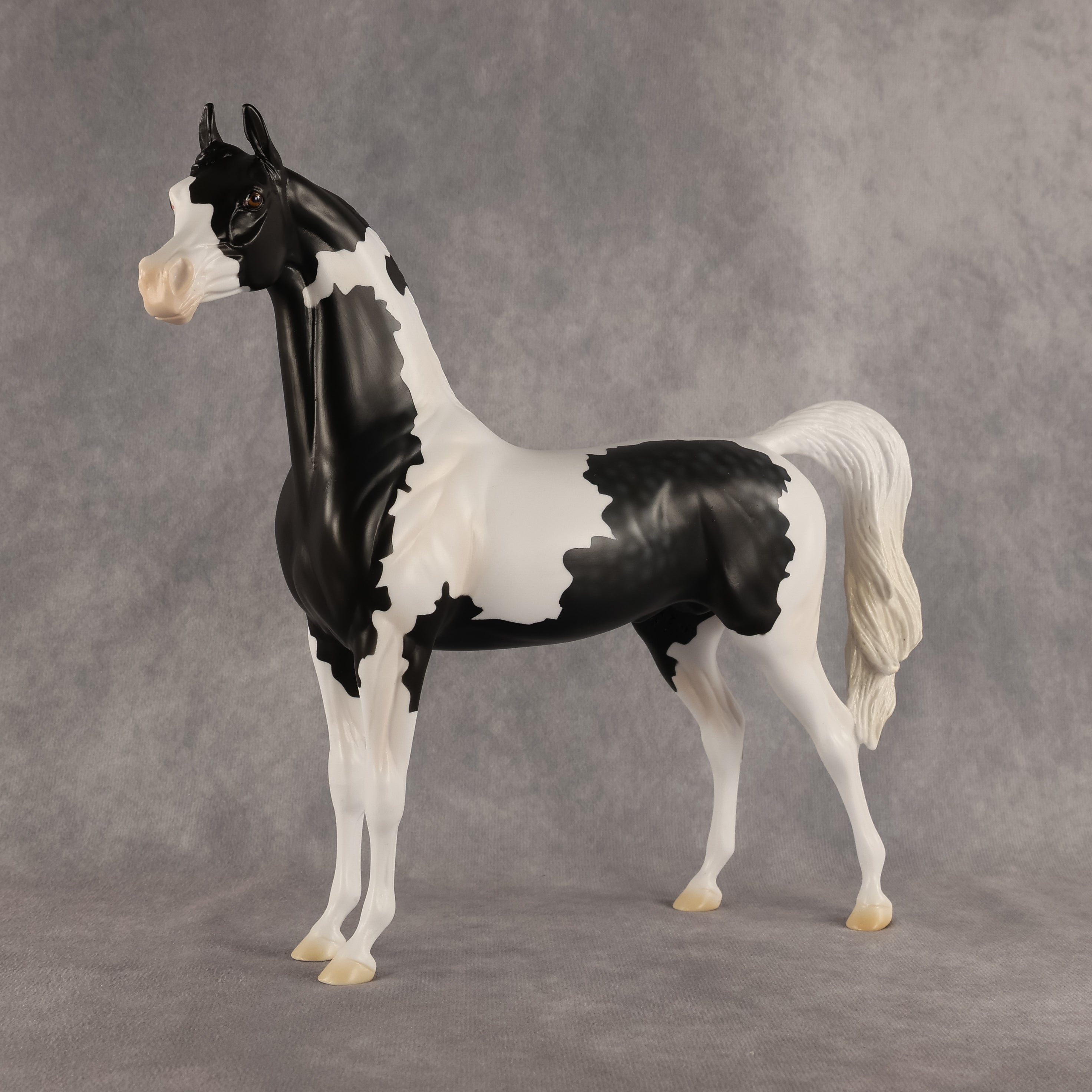 Meet The Flockers OOAK Arabian Stallion by Madi Wiseman DDOOAKs26
