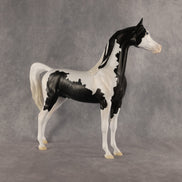 Meet The Flockers OOAK Arabian Stallion by Madi Wiseman DDOOAKs26