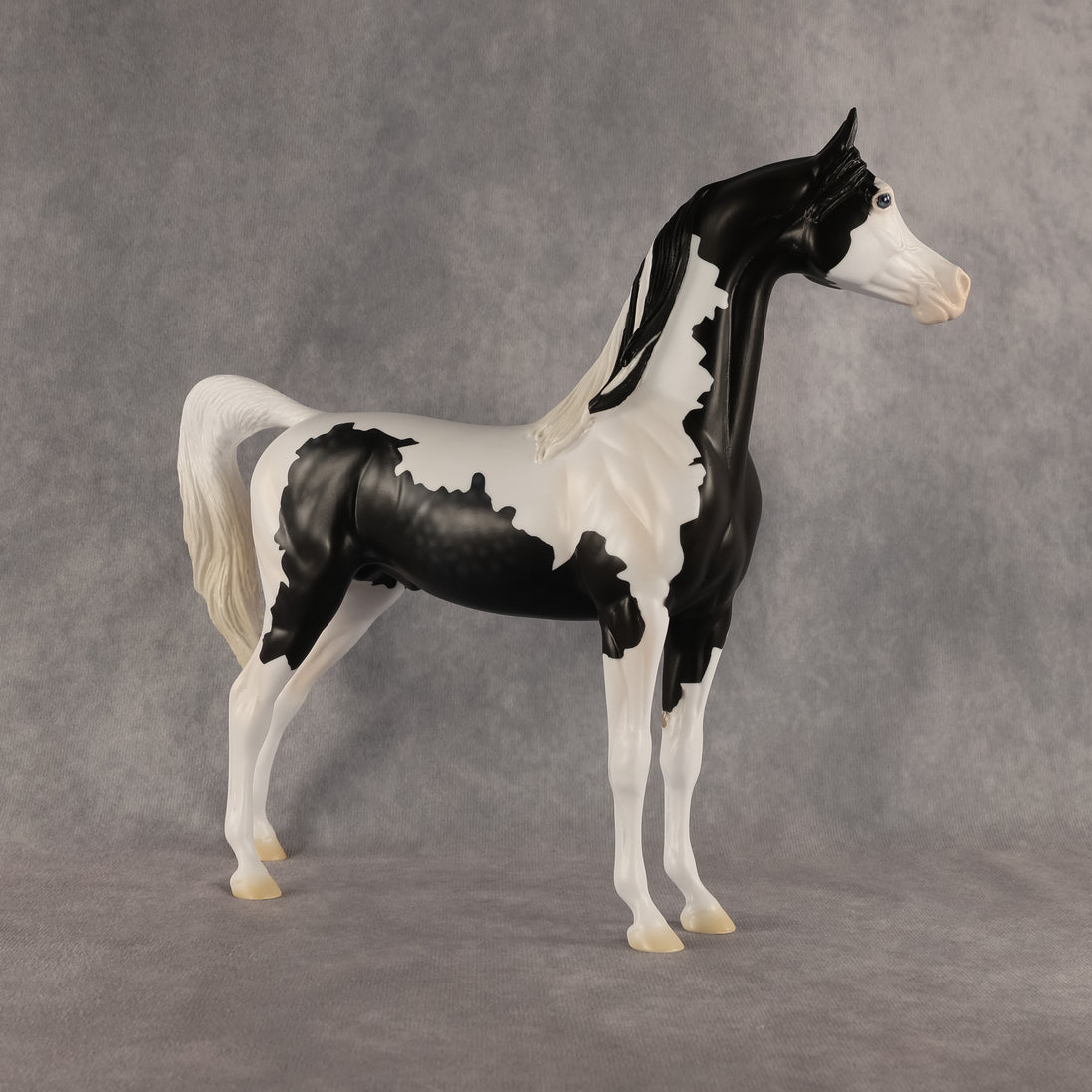 Meet The Flockers OOAK Arabian Stallion by Madi Wiseman DDOOAKs26