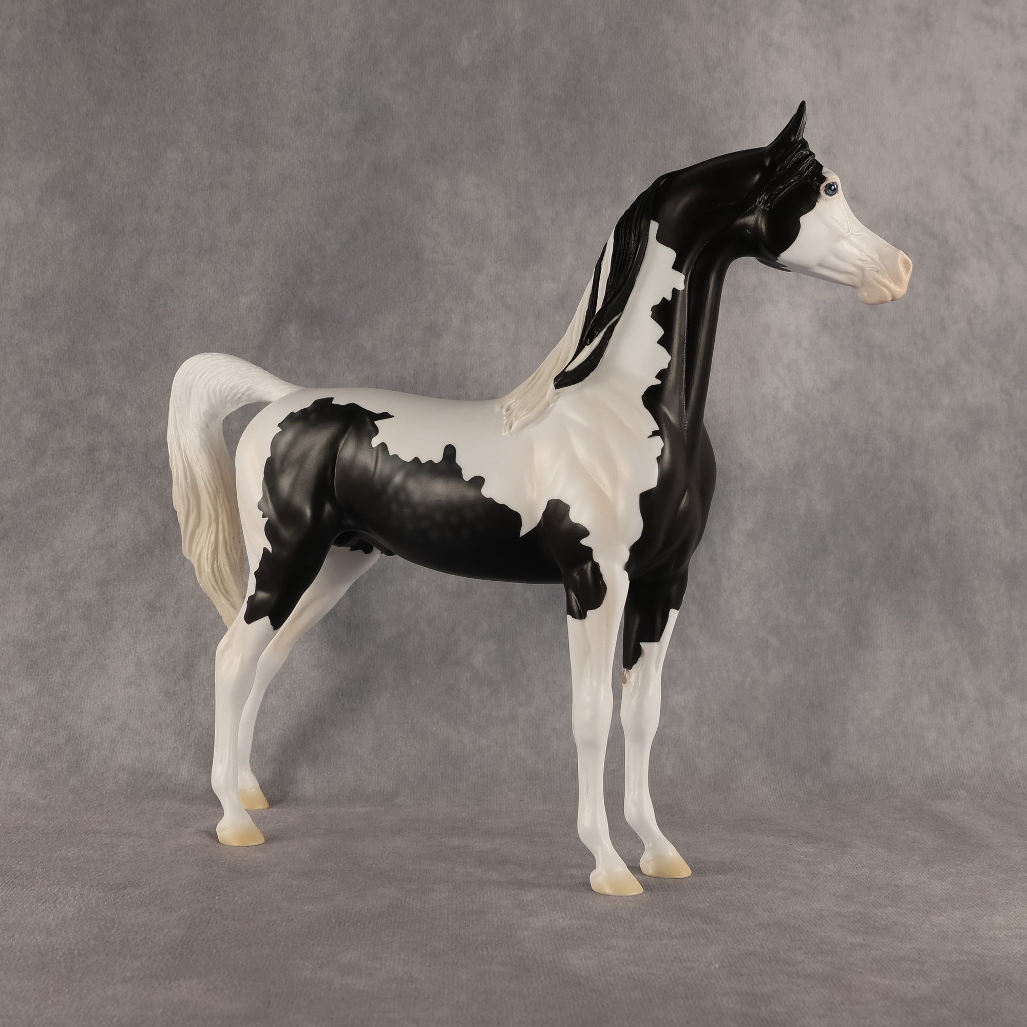 Meet The Flockers OOAK Arabian Stallion by Madi Wiseman DDOOAKs26