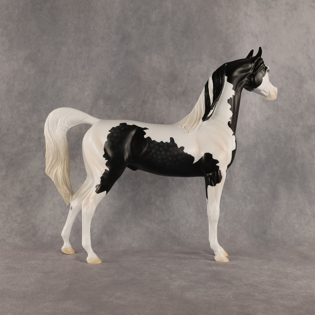 Meet The Flockers OOAK Arabian Stallion by Madi Wiseman DDOOAKs26