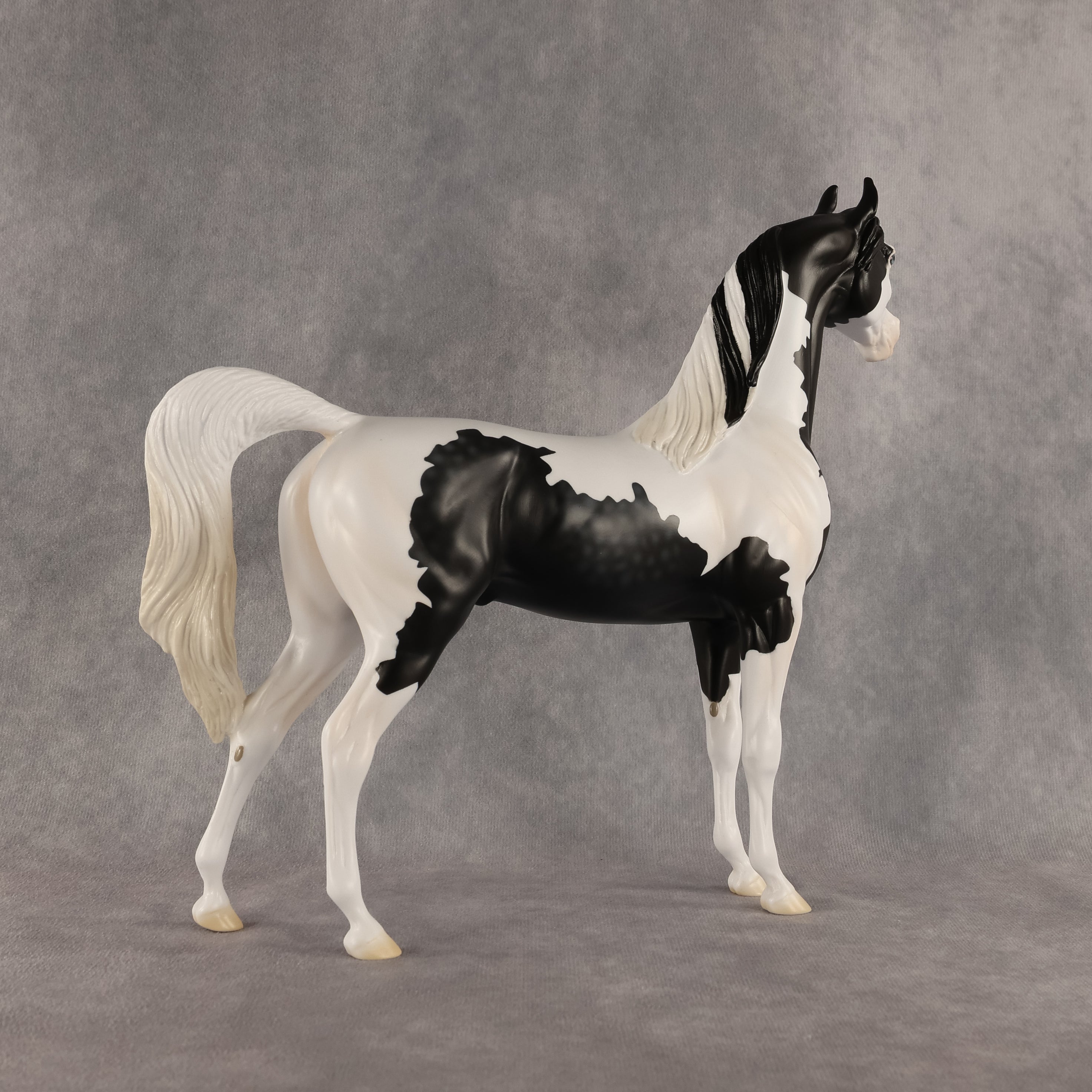 Meet The Flockers OOAK Arabian Stallion by Madi Wiseman DDOOAKs26